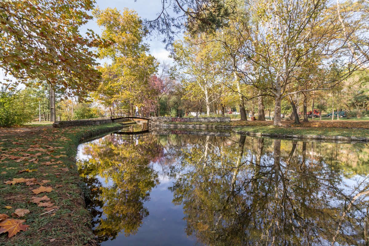 #visitbelgrade #gobelgrade #topciderskipark #jesen #autumn #autumnintopciderpark 🍂🌰🐿️
Аутор фотографије📸: Александар Матић