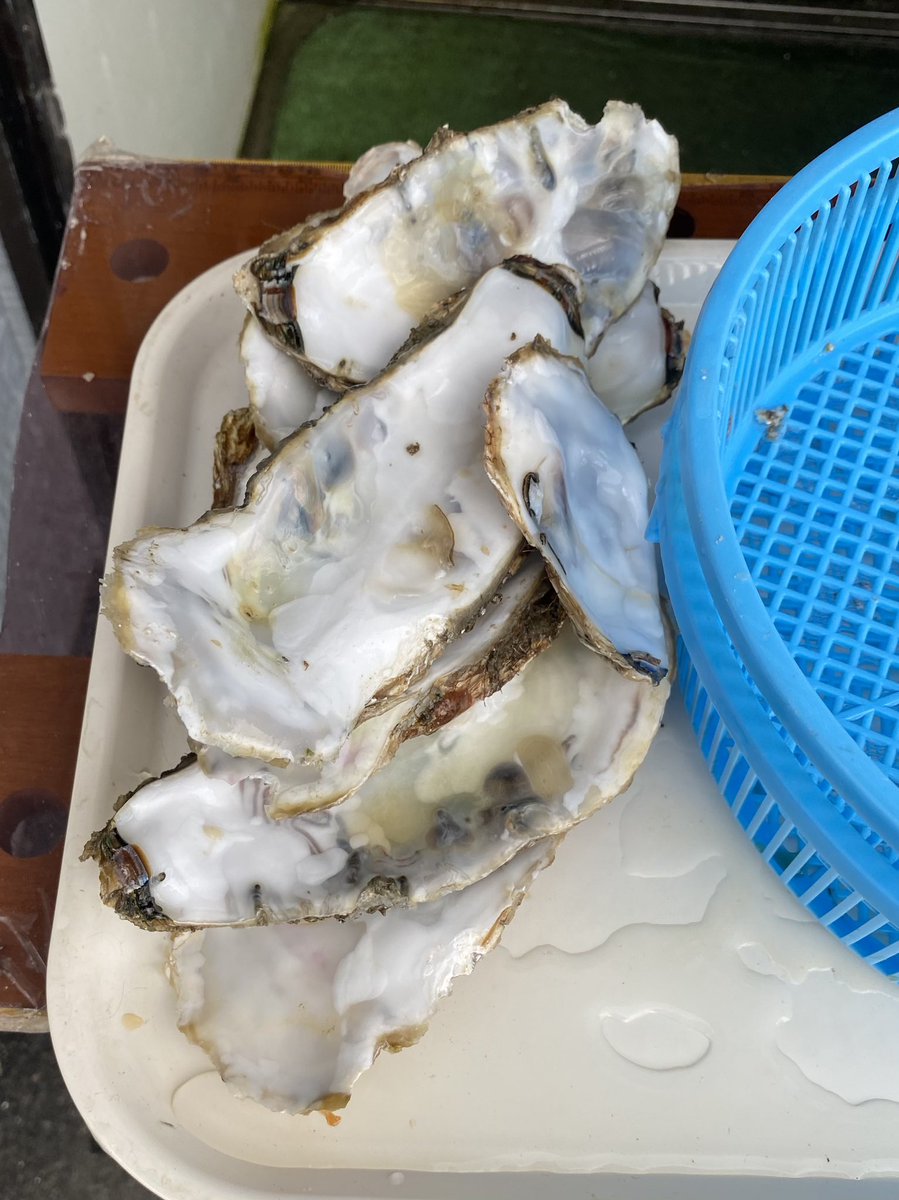 仙鳳趾産牡蠣 仙鳳趾産牡蠣