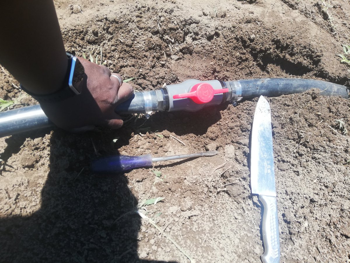 BenicaTheFarmer's tweet photo. It's getting down.......

Things that excites me
#DripInstallations

I'm ready to challenge all those who say BlackChild can't farm👨‍🌾 https://t.co/13EUL5r8Tj