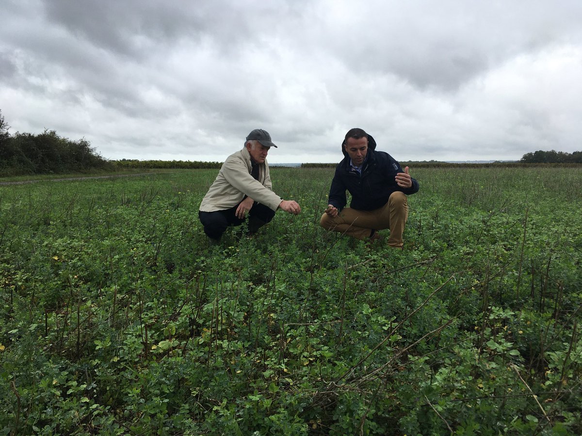 Vert l'avenir tweet media