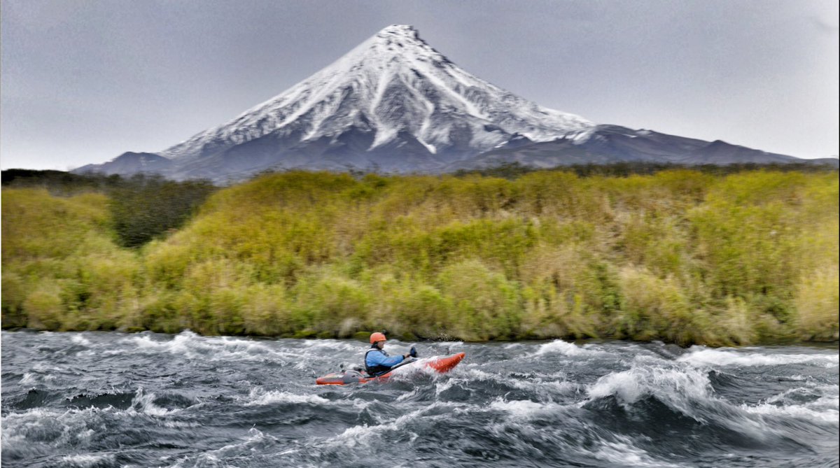 Steve Backshall tweet media
