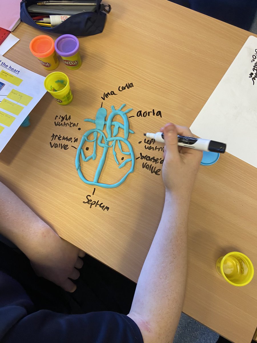 Year 11 GCSE PE students have been creative recapping the Heart and Lungs using Play-Doh <a href="/BBGAcademy/">BBG Academy</a> <a href="/BBGAcademyTL/">Teaching & Learning</a>