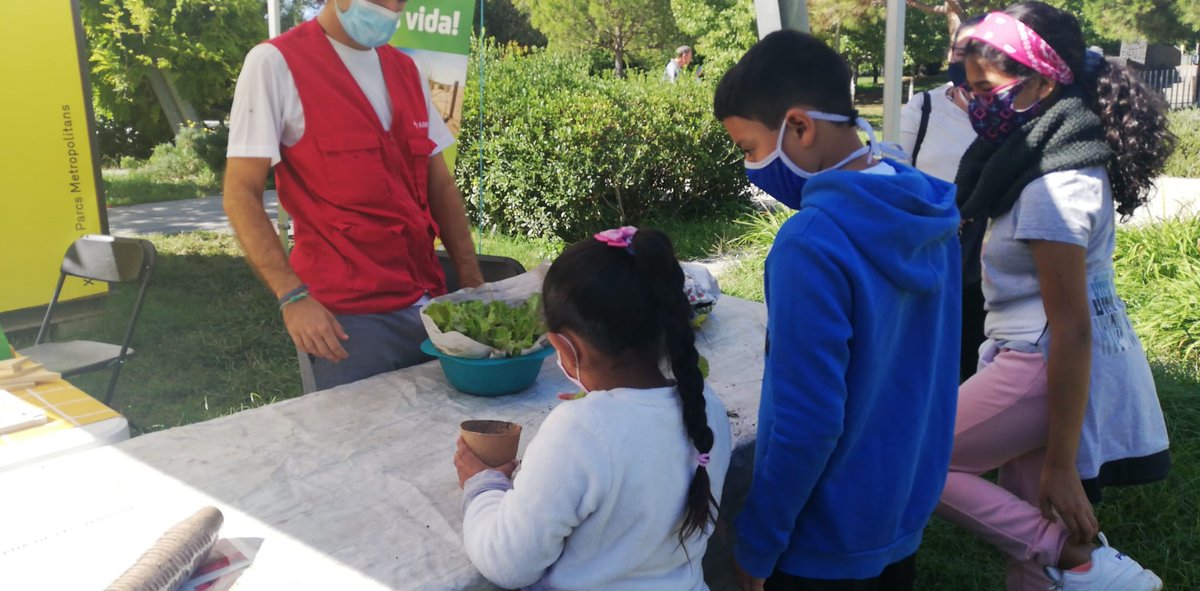 T’agrada treballar l’hort i cuidar les verdures? Aquest dissabte a partir de les 11.30h a la #jugatecambiental farem l’activitat de l’Hort del Parc i el joc de les verdures. No hi faltis.
@fundesplai_ea <a href="/JugatecaAMB/">Jugatecambiental AMB</a> @QFerACornella