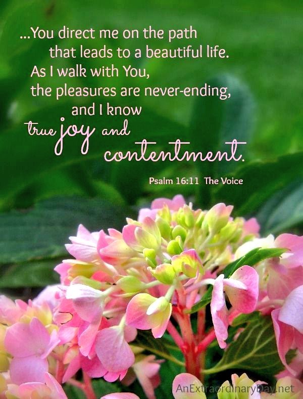 “You will show me the path of life; In Your presence is fullness of joy; In Your right hand there are pleasures forevermore.”

~ Psalms 16:11 (AMP)