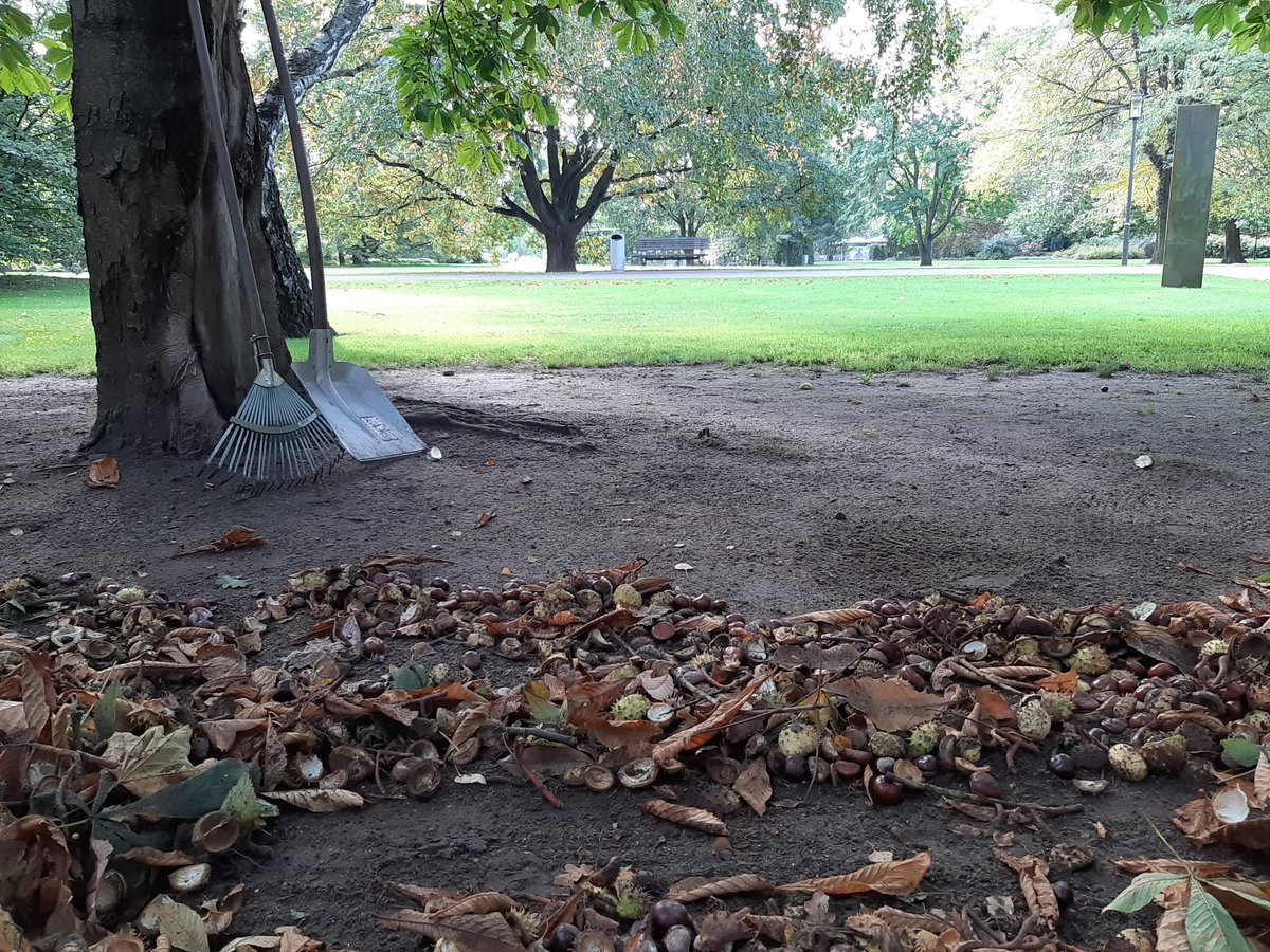 tipberlin_art's tweet photo. #Herbstferien im eigenen #Risikogebiet : Herbst in de @GaertenderWelt #Berlin - #Marzahn . Viel Platz für viele. Heute noch trocken, für morgen, Mi 14.10. ist  Regen angesagt.  #Online -Buchung möglich, aber nicht nötig https://t.co/HrGOPwKkWG
