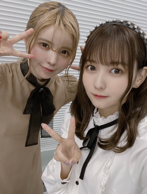 ノア たぬき 佐藤