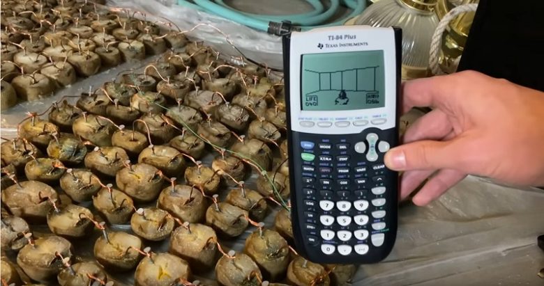 Oui, une calculatrice branchée à des patates pourries peut lire Doom journaldugeek.com/2020/10/13/cal… #News