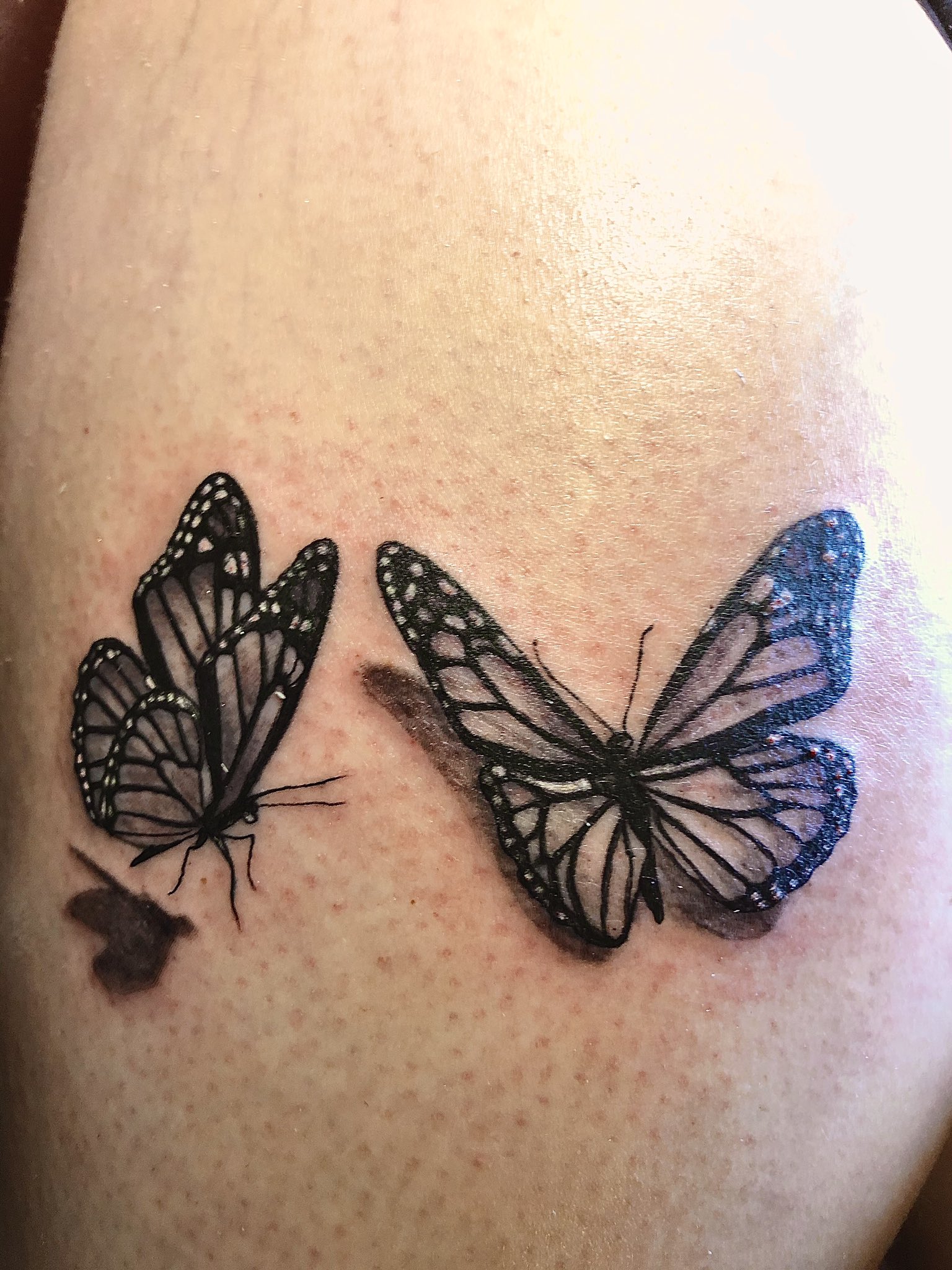 3D Butterfly Tattoos: Realism in Ink and Art