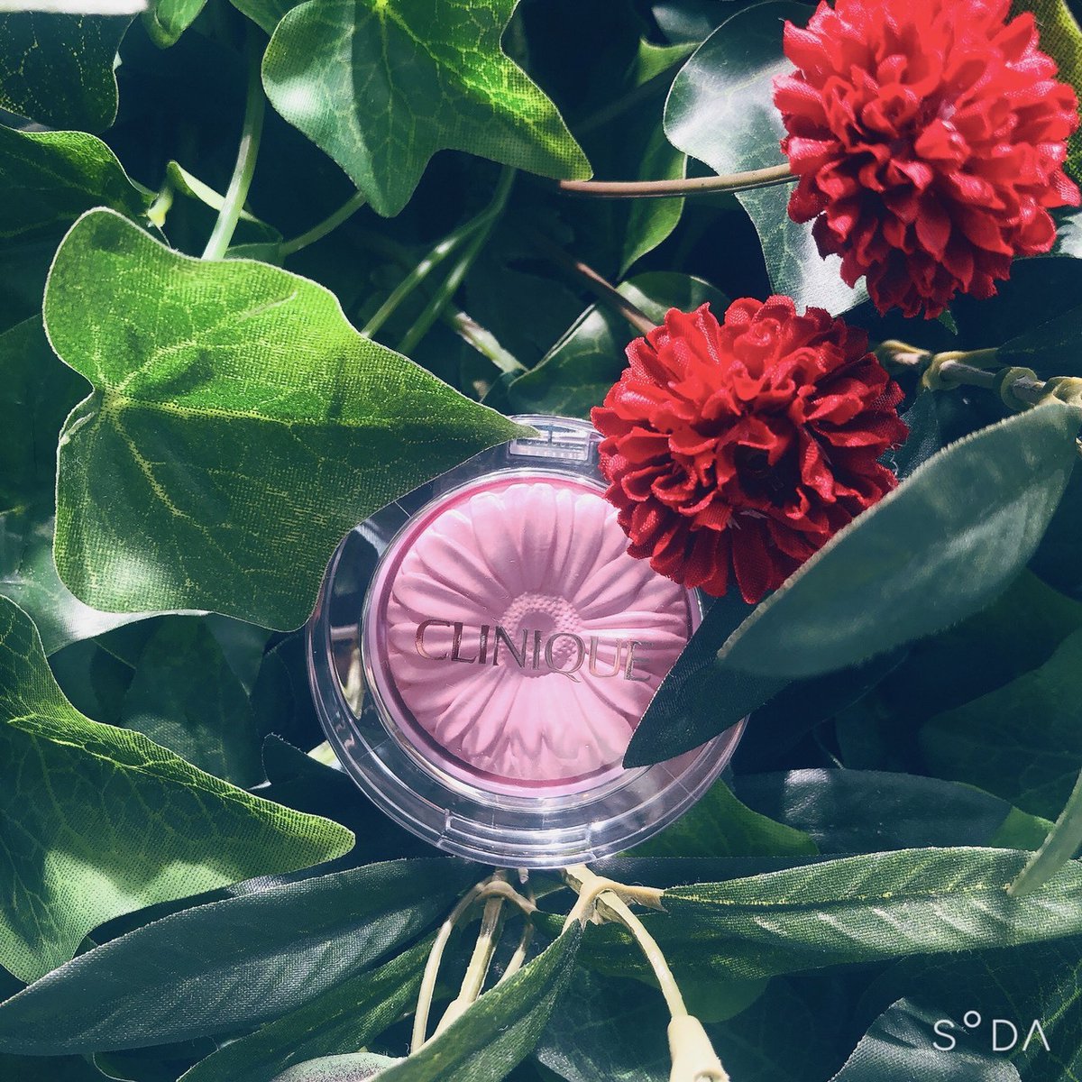 Yokohama Sogobeauty Neneです プレゼントにも大人気の ガーベラ型の パウダーチーク しっとりしたパウダーで お肌にぴったりフィットします 今回は1番人気のカラーを チョイスしてみました クリニーク Clinique チークポップ 税込