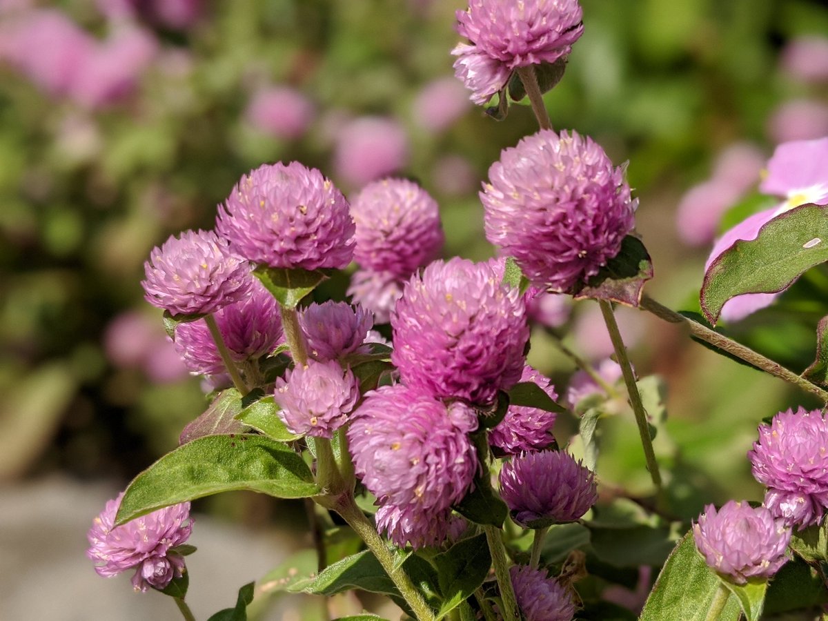 長崎 関西 Twitter Search