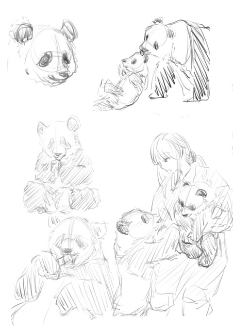 パンダ資料集め&軽く模写 