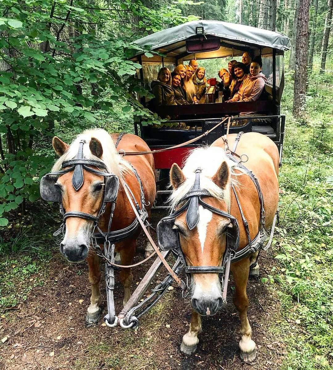 #ZeltaRudens Grobiņas novadā!

Kad no kokiem krīt lapas, tās nepaliek mierīgi guļam uz zemes. Nē, vēja uzpūstas, tās virpuļo gaisā. Vējš vienmēr vēlas rotaļāties ar rudens lapām. Spēlēties un dejot. 
Meklē Rudens piedzīvojumu te: grobinasturisms.lv/lv/jaunumi-5/z…