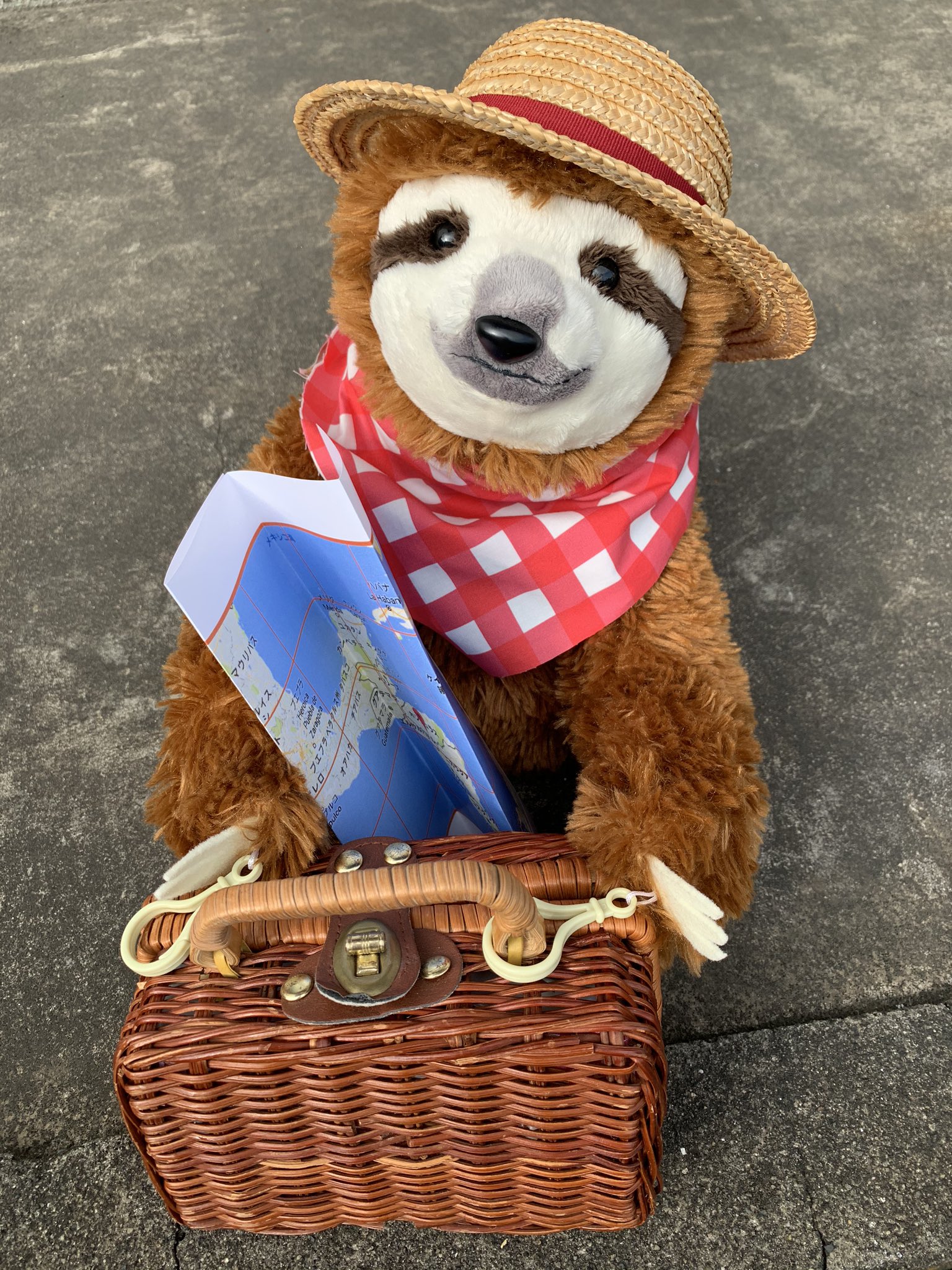 ナマケモノぶらりんこ 抱っこしてください ナマケモノ Sloth ぬいぐるみ ぬい撮り イラスト Illustration Animal 旅行コーデ ナマケモノぶらりんこ 抱っこしてください ナマケモノ Sloth ぬいぐるみ ぬい撮り イラスト Illustration Animal 旅行コーデ