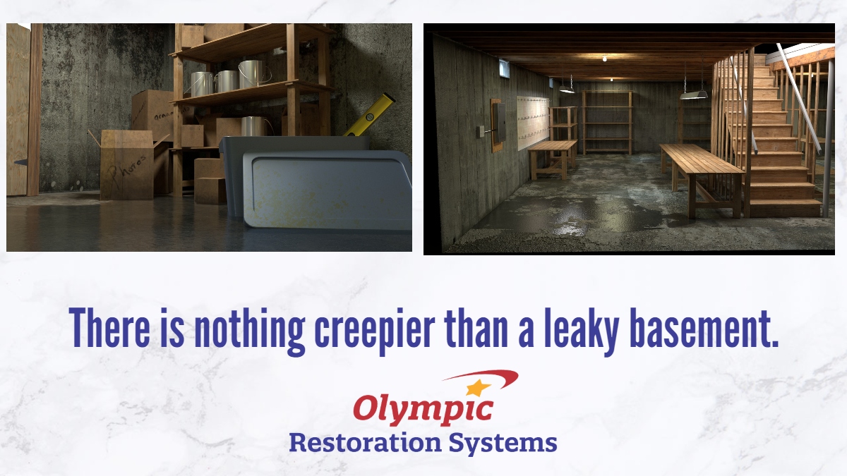 A wet or damp basement destroys your belongings, leads to mold growth and a musty smell throughout your entire house, and wrecks your property value. It is time to waterproof your basement.

Visit us at olympicrestoration.com for more information.