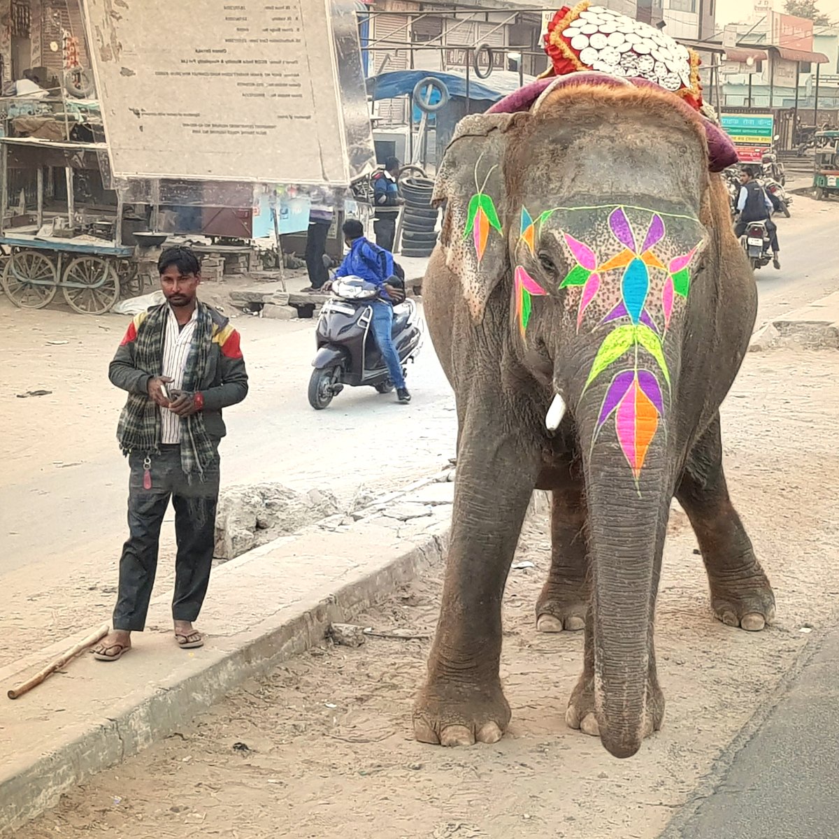 Today I should have been leaving for India to escort @greatrailjourneys "Five Star India, Shimla &amp; Tiger Safari" tour. My thoughts are with all of my friends in India who are having such a hard time 💚
Photo taken in Jaipur 2 years ago.

#taveltribe #greatrailjourneys