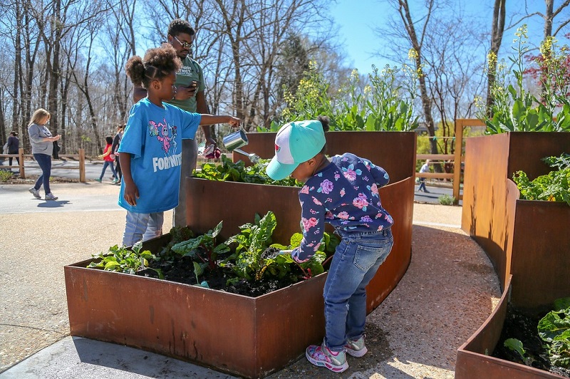 The U.S. Botanic Garden is working to help food-growing programs at public gardens affected by the COVID-19 pandemic through the Urban Agriculture Resilience Program, established in partnership with the American Public Gardens Association. aoc.gov/explore-capito…