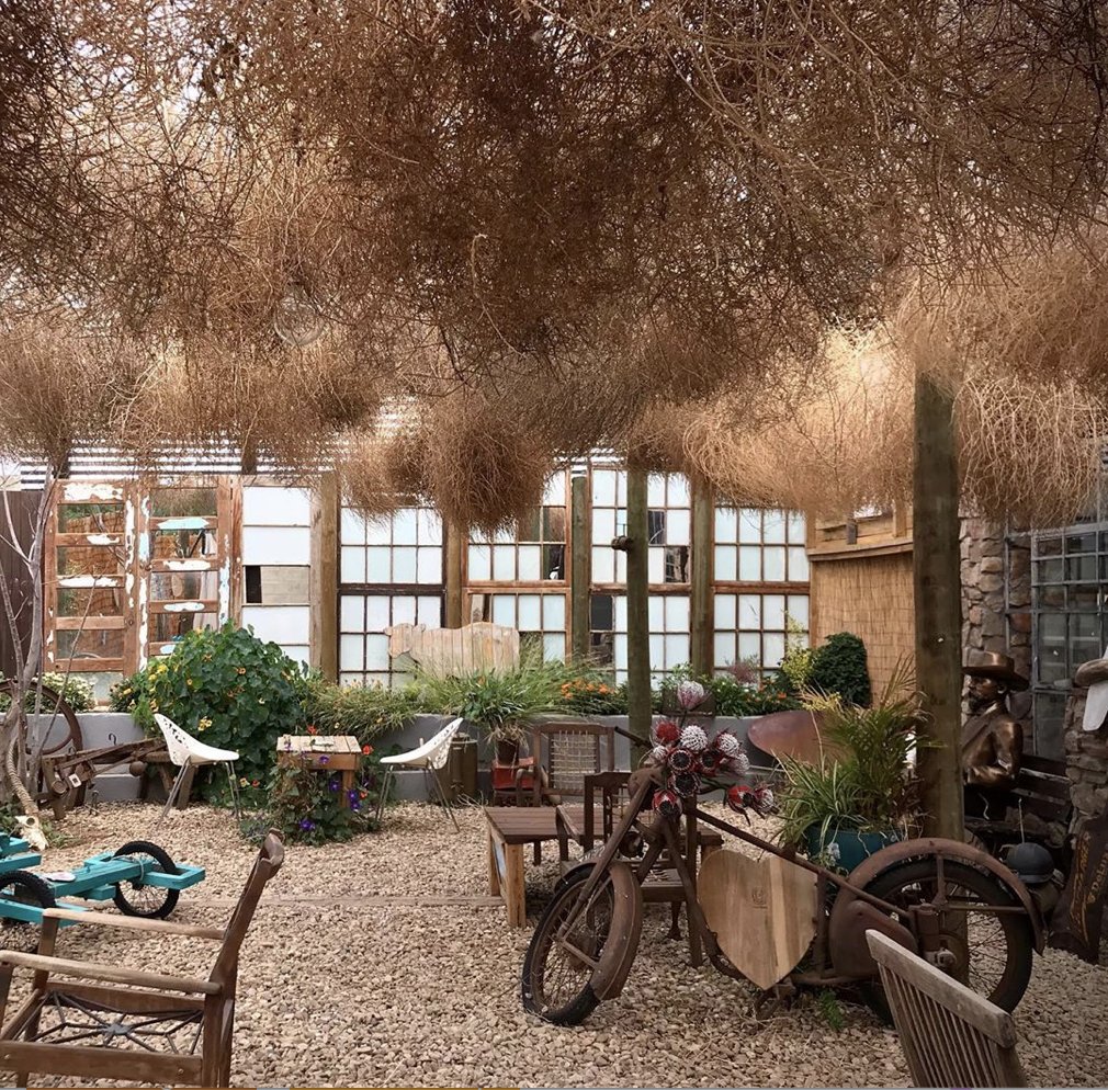 Prince Albert Tourism tweet media