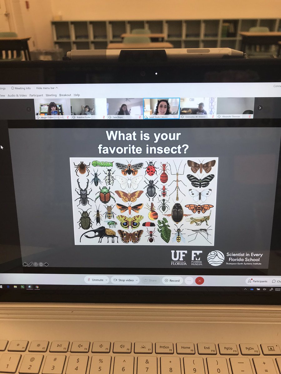 MeganJDotres's tweet photo. My 4th grade Classroom Connect students loved learning about insects and metamorphosis with @UF PhD scientist Sarah Steele Cabrera today! @blackbearsroar @collierschools @CollierScience @swamphiker https://t.co/KvqA3eKAd6