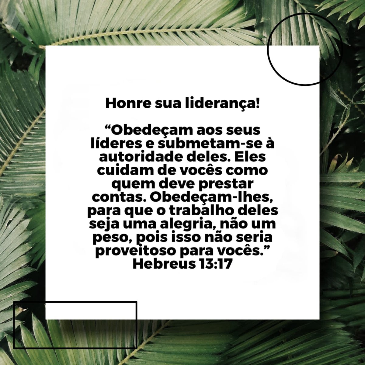 legacyteenl's tweet photo. DEVOCIONAL
por: @ralph_asse
#legacyteen #lagoinha #devocial #teen #church #igreja https://t.co/4yo8pMVmN1