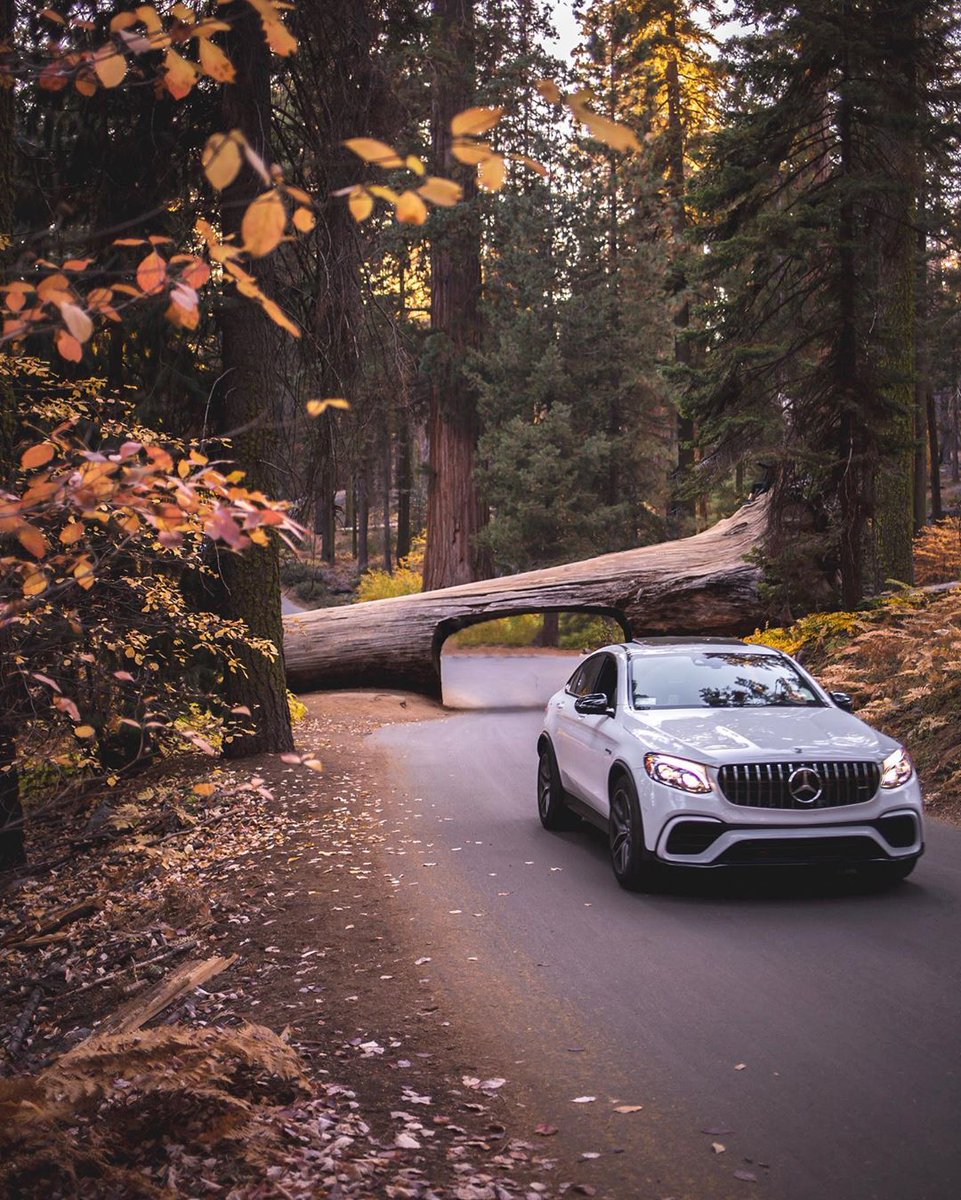 Even Mother Nature has her exceptions. #GLC