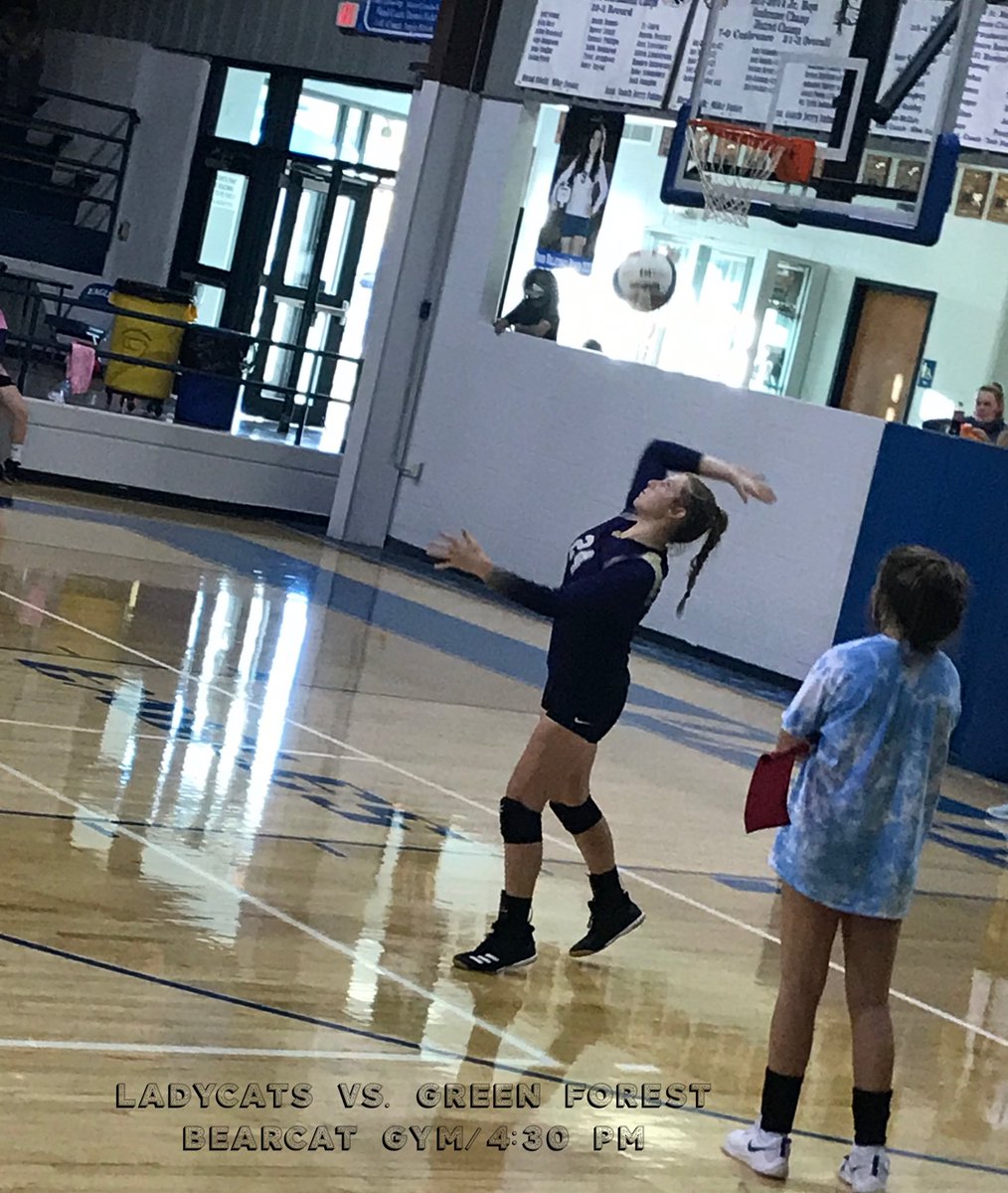 Bearcat_Hoops5's tweet photo. #LadyCatVB at home vs Green Forest at 4:30 today. Ordinarily very adept with hitting and blocking, junior Joleigh Tate did it with her serve last night, scoring six aces against Paris.  @BR_TimesRecord @ASTSprts https://t.co/nZDOMhIk6F