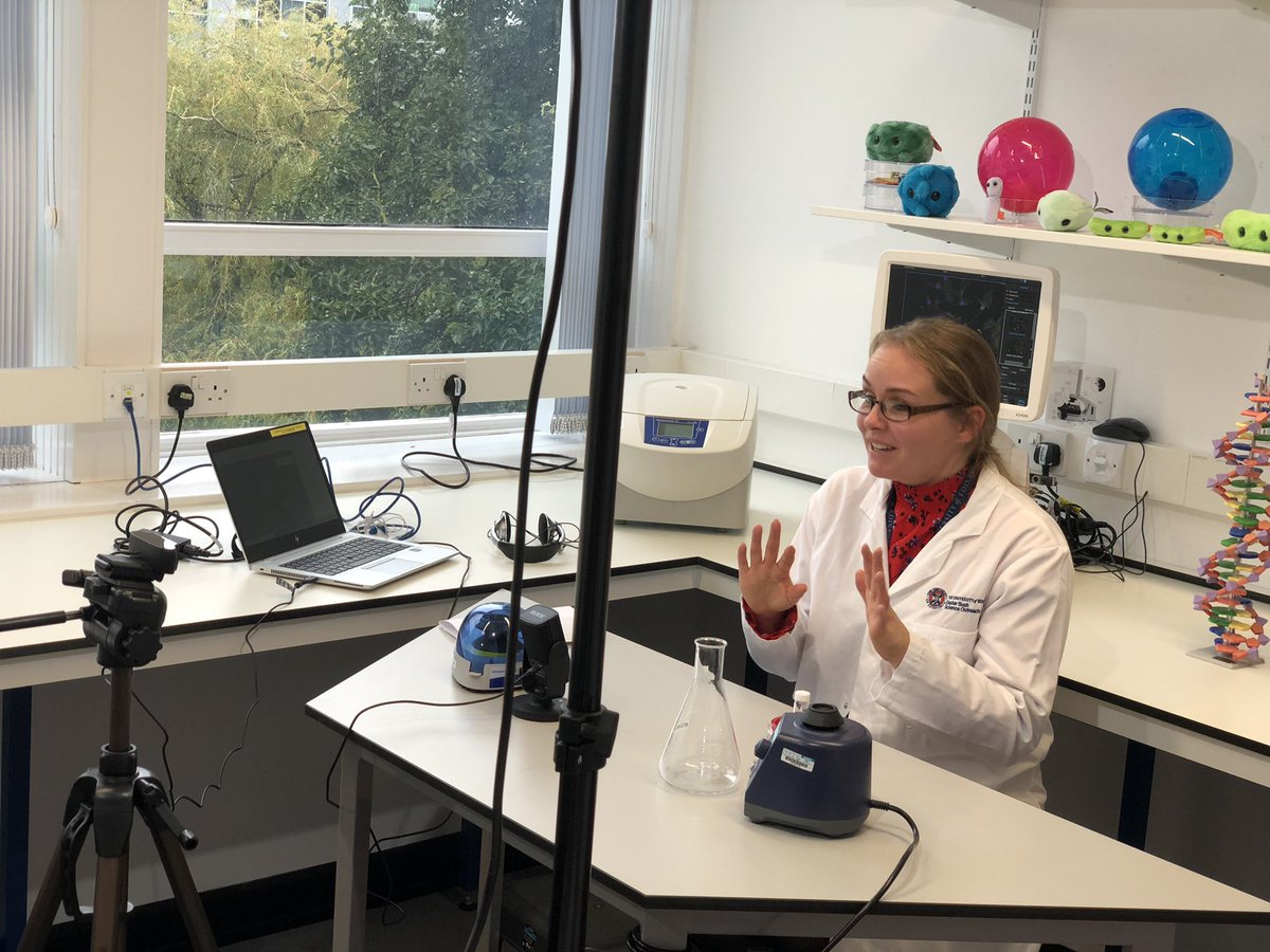 EBSOClab's tweet image. Today @roslininstitute @TheDickVet scientist Lindsay virtually visited @LoanheadPS  @GorebridgePS  and @StMargaretRCPS where she answered questions ❓❓about her job as a lab 🧫 technician and her work with bacteria🦠! #MSFschools2020 @MidlothSciFest