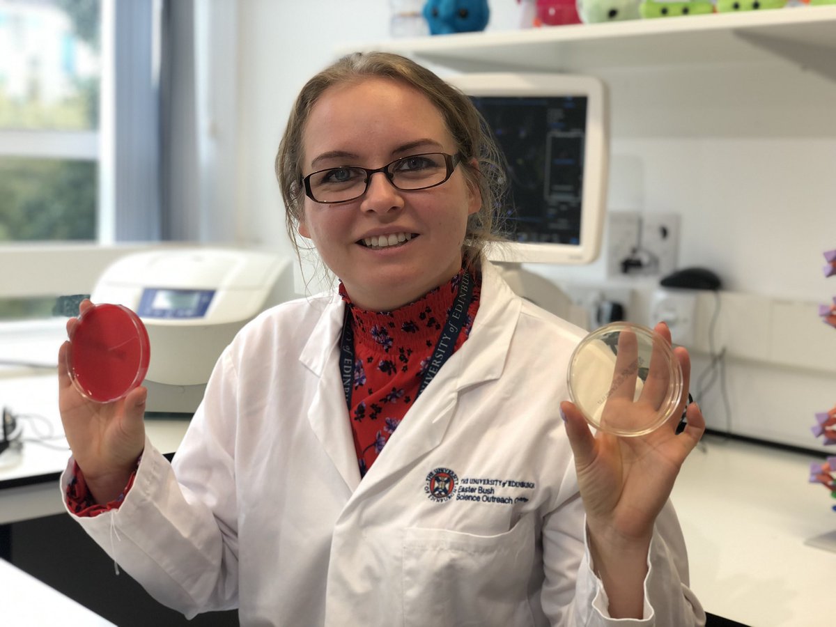 EBSOClab's tweet image. Today @roslininstitute @TheDickVet scientist Lindsay virtually visited @LoanheadPS  @GorebridgePS  and @StMargaretRCPS where she answered questions ❓❓about her job as a lab 🧫 technician and her work with bacteria🦠! #MSFschools2020 @MidlothSciFest
