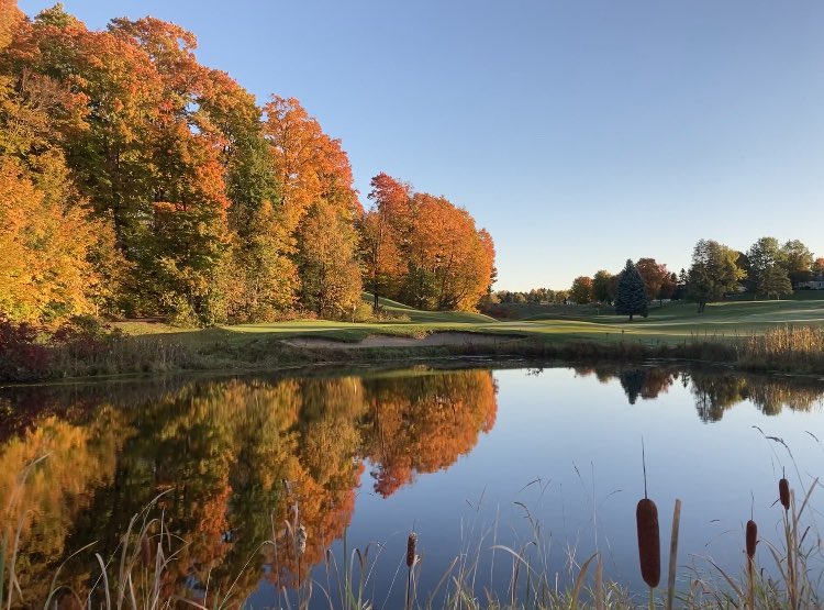 Grand Traverse Resort and Spa tweet media