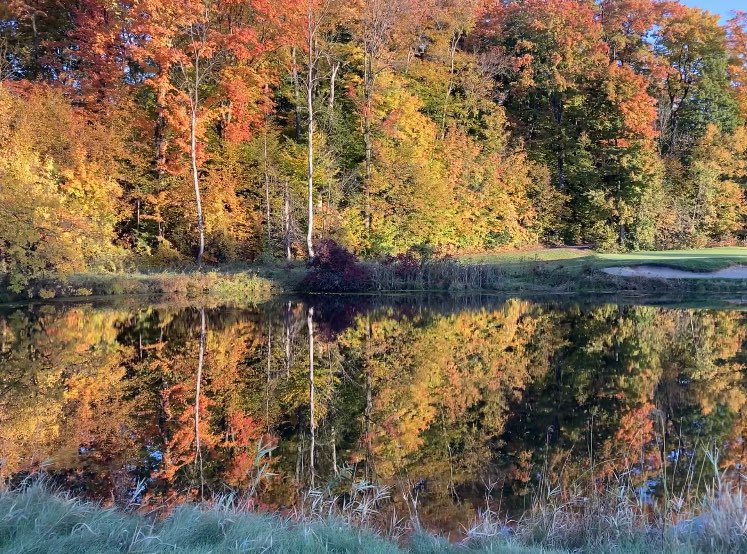 Grand Traverse Resort and Spa tweet media