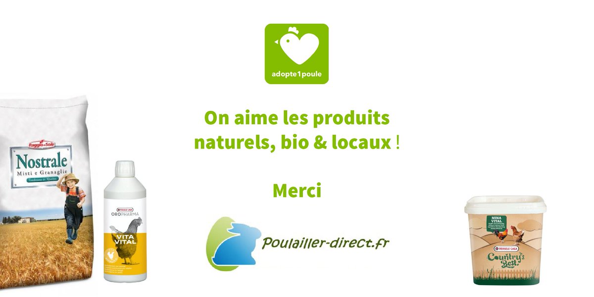 Adopte1poule (@Adopte1poule1)  Twitter