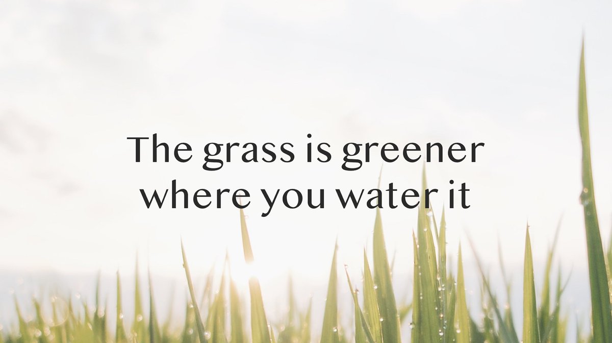 TMmeditation's tweet photo. The grass isn’t greener elsewhere. If you water your own roots with daily practice of the Transcendental Meditation technique you can better enjoy the fruits of life through greater rest and clarity, greater creativity and vitality. 

Find a TM teacher at https://t.co/QUa1GtylQC https://t.co/L0pXJEHFxX