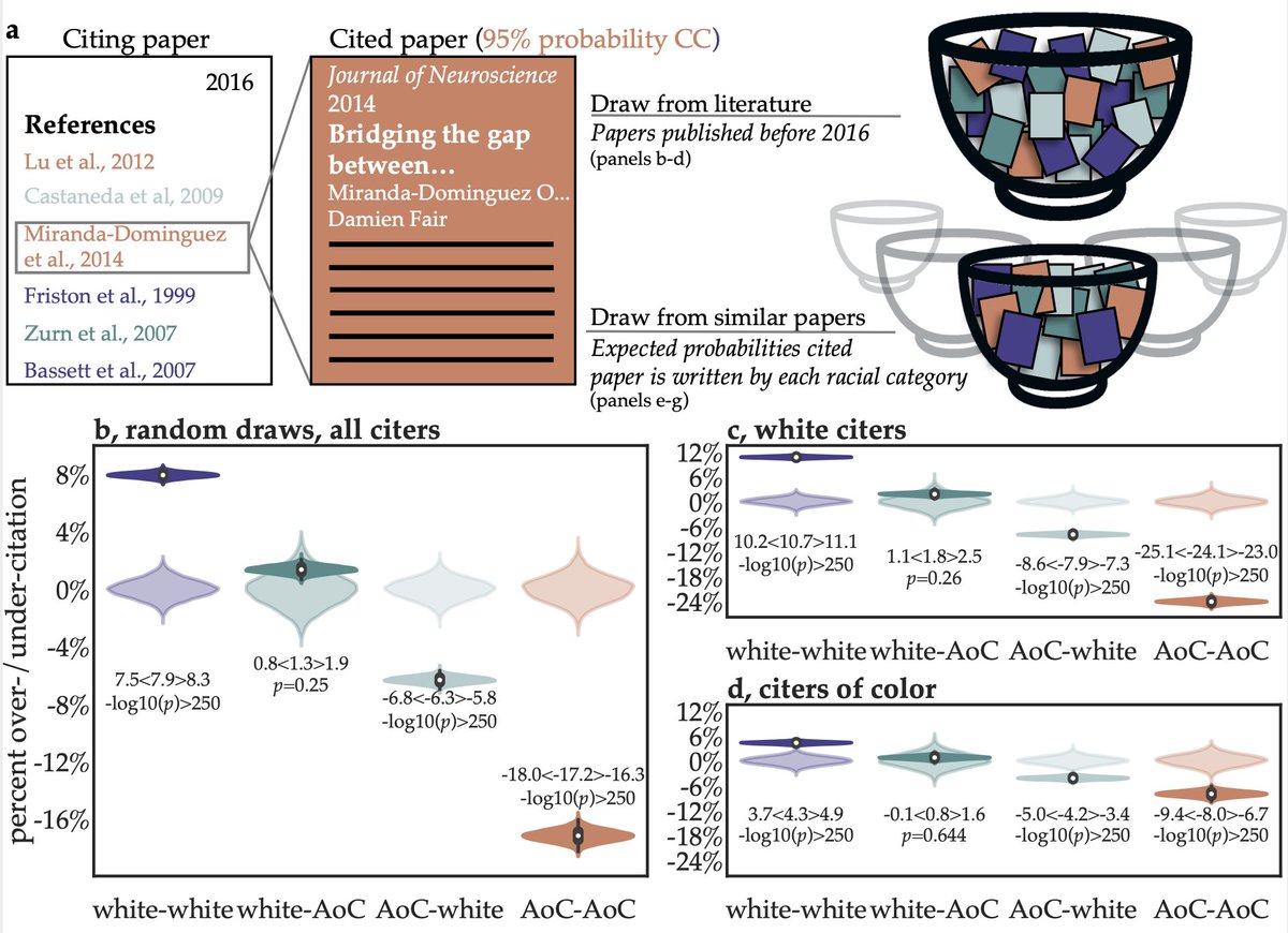 First, we compare observed citation rates to a “random draws” base-rate model, where authors select a set of papers to cite by randomly drawing from all papers that were published previously to their own paper. Papers from authors of color are markedly under-cited.