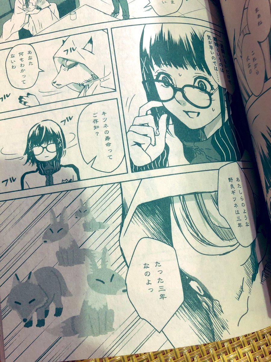 【告知】
本日発売のネムキ+(ネムキプラス)11月号に「妖の運び屋」の5話目を掲載して頂いてます?
今回の案件は狐の嫁入り。狐の親子を取り巻くオムニバスな可愛いコミカル回になってます??(豆腐小僧のだいずくんも活躍するよ?)
宜しくですですー?