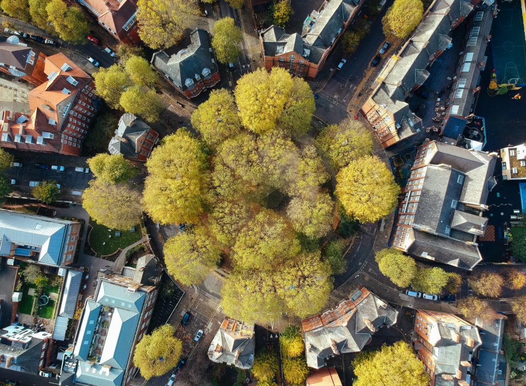 hoss_sse's tweet photo. On Nov. 2, join @EmmaSjostrom_ on the first of a three-day workshop series exploring the barriers and possibilities for amplifying city innovations and creating #SustainableCities. With @CTScandinavia @SEIresearch 

More info: https://t.co/6OwVksKeyi https://t.co/y15tJqpW8b