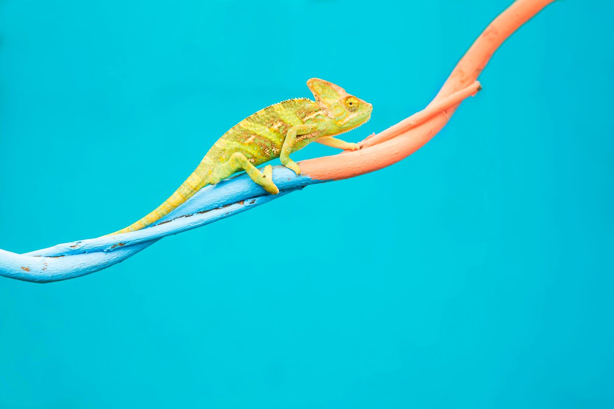 We're making changes!  Check out the latest changes today to secure the best deals:
Subscribe to keep in the know!
mailchi.mp/c385d31986bb/m…

#chainsawbars #treesurgeons #chainsawmill