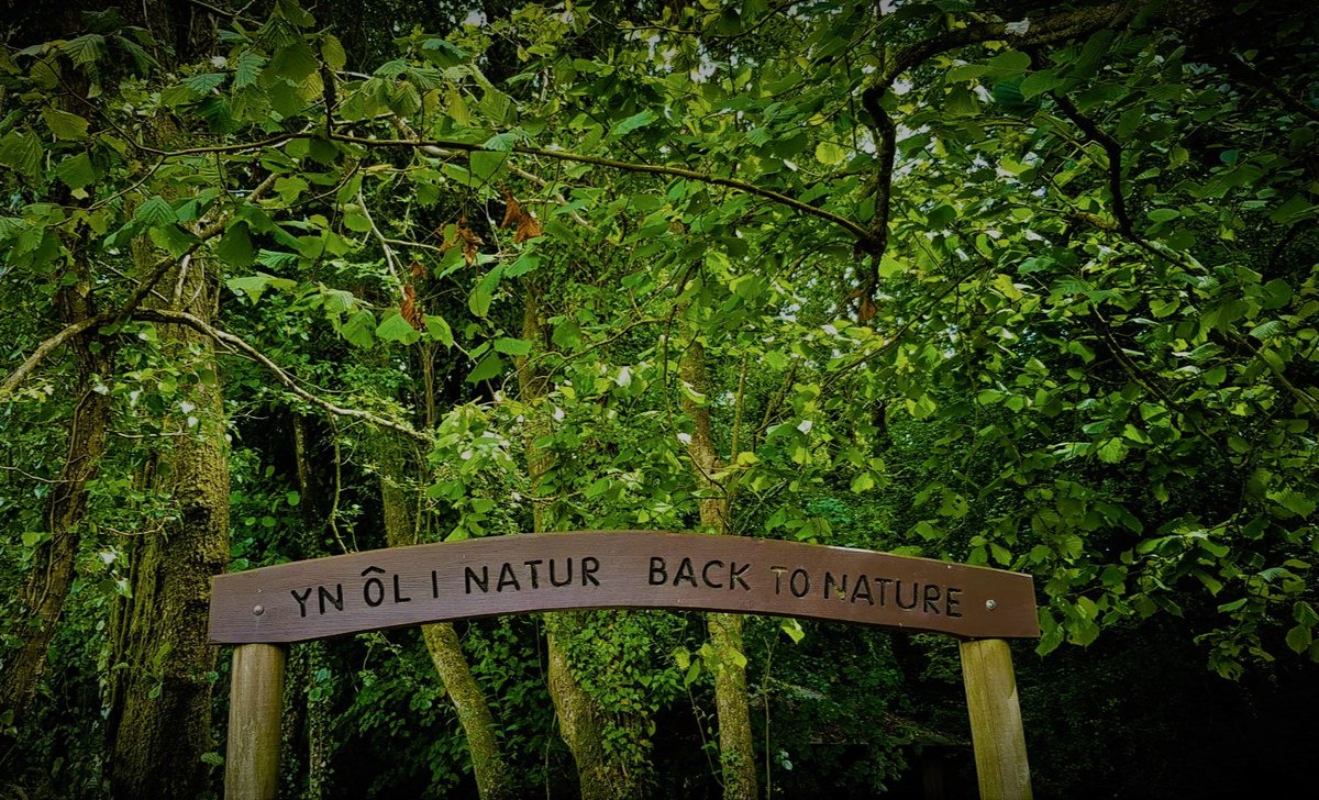 BiophilicWales's tweet photo. Camwch y tu allan a threulio pum munud yng nghanol natur. 

Step outside and spend five minutes in nature. 

#edrychwch #look #gwrandewch #listen #llonydd  #calm
#ffocysu #focus #anadlu #breathe #bioffilia #biophilia https://t.co/xMhcBPdJ6X