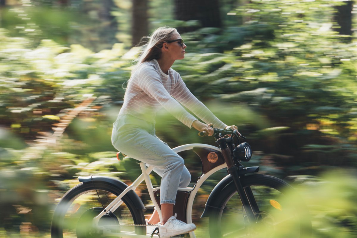 RayvoltBikesUK tweet media