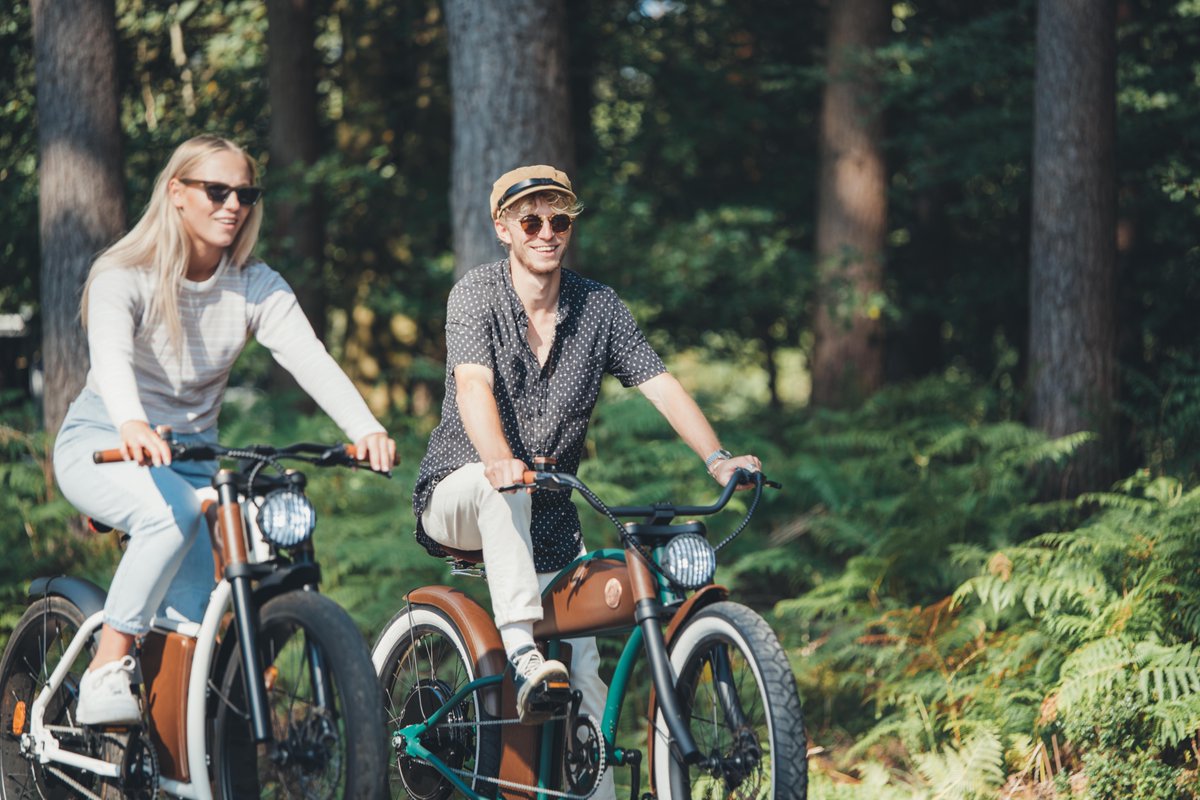 RayvoltBikesUK tweet media