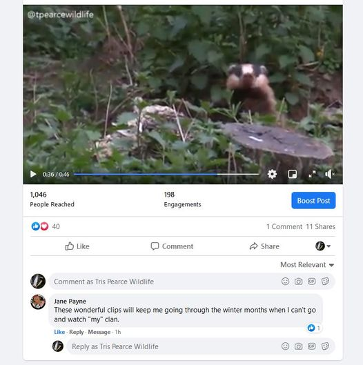 What a lovely message on my facebook page... that will spur me on to do more when I have the time. Please go visit me at facebook.com/trispearcewild…  
#ShropshireWildlife #Badgers #LoveBadgers #WildlifeGuide #WildlifeGuiding #WildlifeTraining #WildlifePhotography