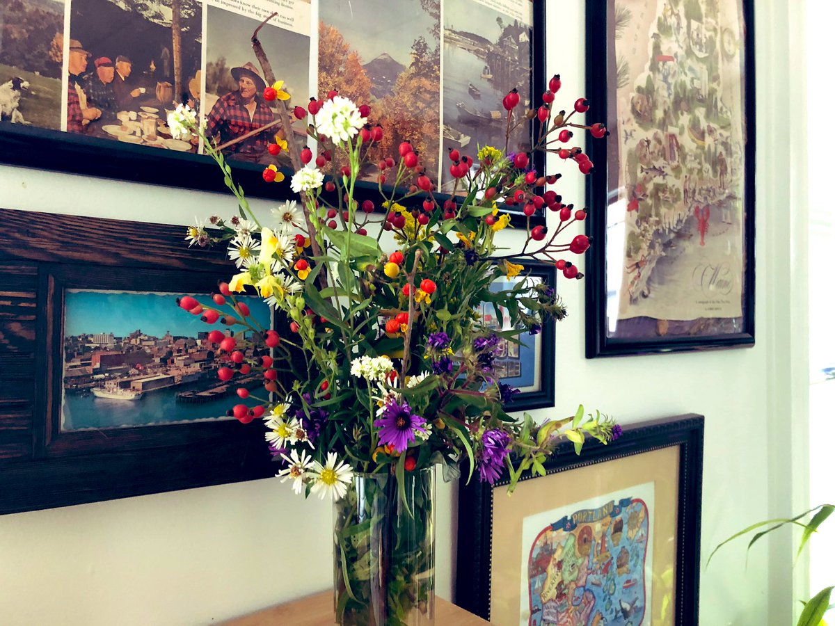msjessiemeghan's tweet photo. I voted and I got a flu and pneumonia vaccine. May I sleep till Christmas, please? I finished this year. I even picked wildflowers #2020Election #2020worstyear #letmenap #sotired #200KDeadAmericans #autumnvibes https://t.co/LIQ6pNqZGQ