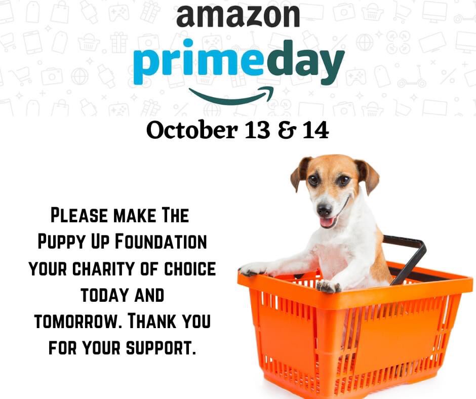 PuppyUpHouston's tweet photo. Don't forget Prime Days have begun &amp; we are asking you to make The Puppy Up Foundation your charity of choice. Every purchase makes a difference in the lives of pets &amp; people living with cancer. Thank you in advance for being a cancer fighting superhero. #AmazonPrimeDay #puppyup https://t.co/F66Ceg5cva