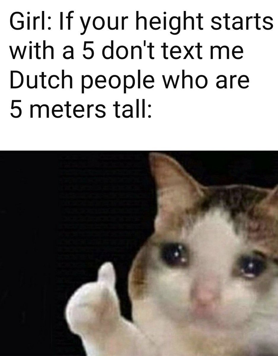 WindmolenMemes's tweet photo. 📸: /u/joch132
(/r/ik_ihe) https://t.co/h48zkOi05s