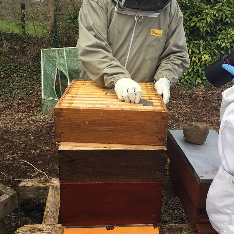 Ever wonder how beekeepers bring us a pot of honey? Here is a sneak peek into <a href="/carickfernhoney/">Carrickfern Pure Irish Honey</a>'s world.

Photos courtesy of the lovely folks at Carrickfern Pure Irish Honey. #CreatedInCavan #ThisIsIrishFood #CavanCalling #IrelandsHiddenHeartlands