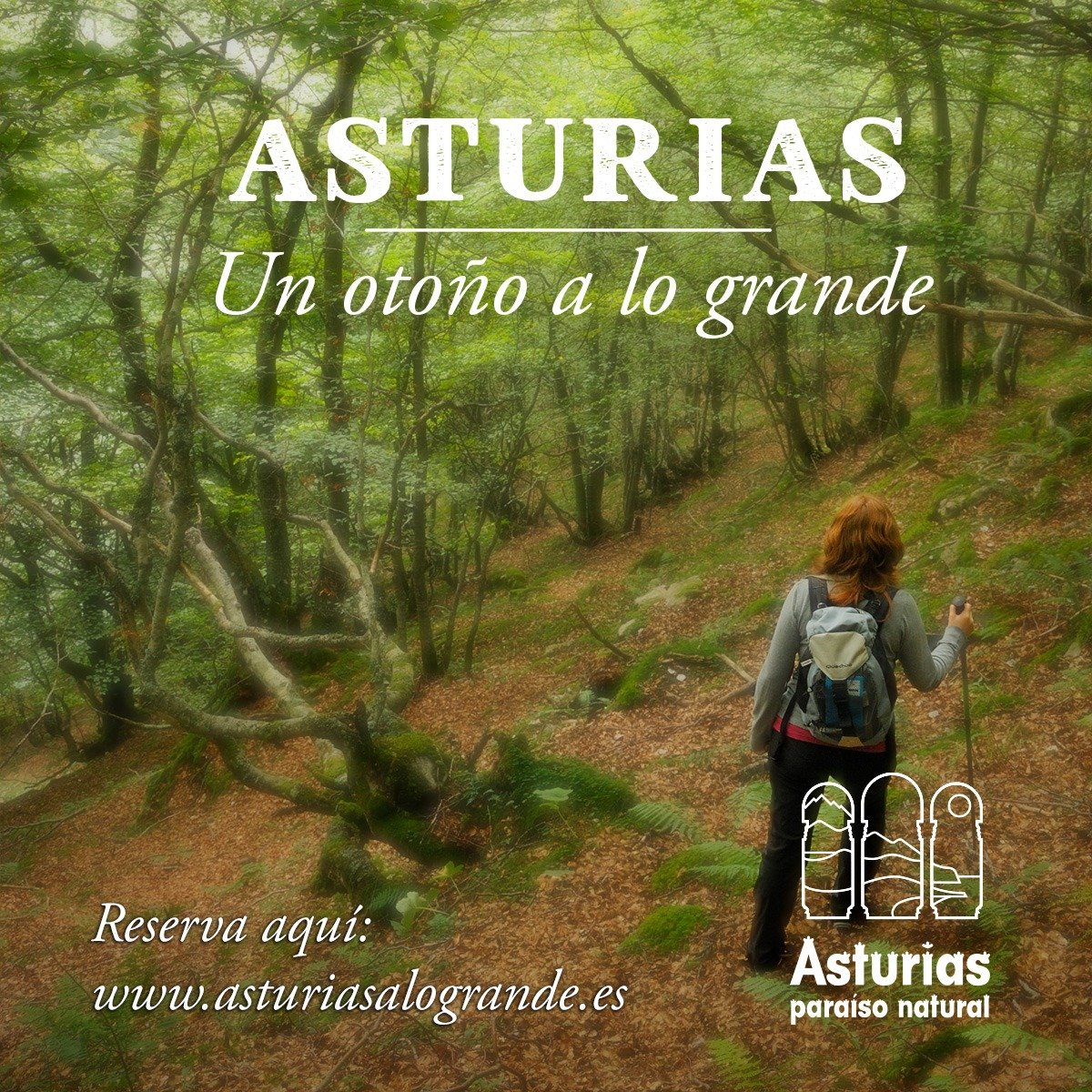 Tierra del Agua tweet media