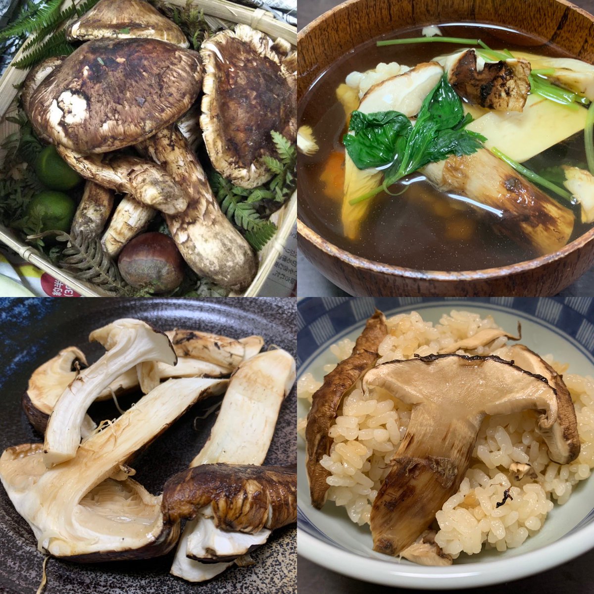 松茸のお吸い物 松茸のお吸い物