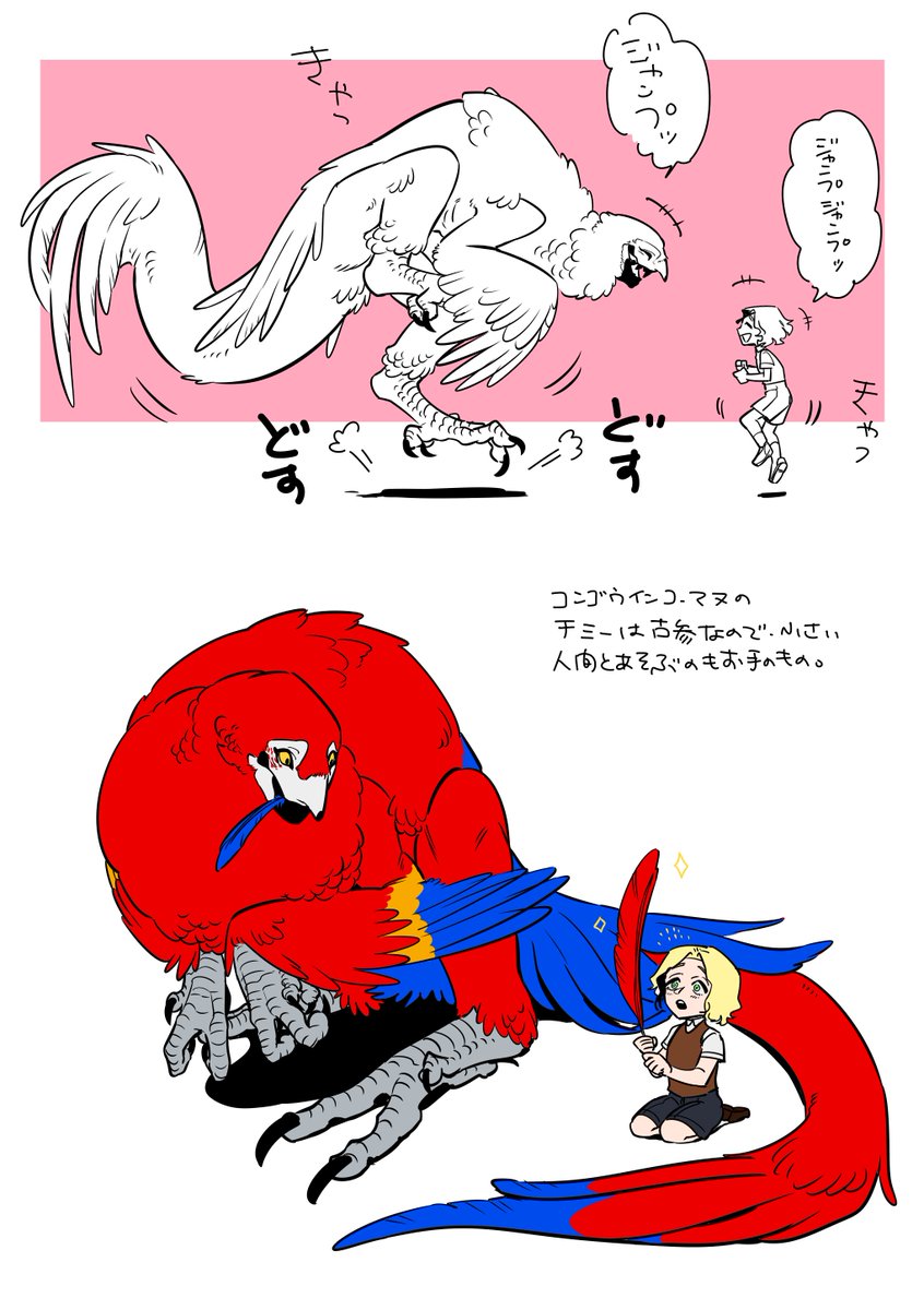 保護マヌの運動不足解消(できない) 