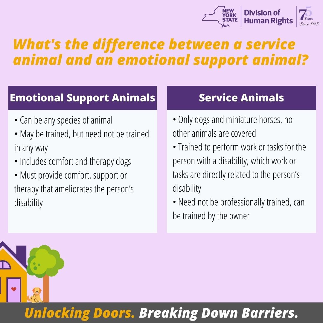 NYSHumanRights's tweet image. Ever wondered what the differences are between a service animal and an emotional support animal? 

#fairhousingmattersny #unlockingdoors #breakingdownbarriers #NY4FairHousing

dhr.ny.gov/fairhousing
844-862-8703
