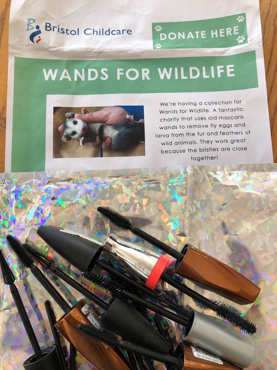 Thank you to all staff and parents who donated mascara wands. These have now been sent off to the Arc Wildlife Centre to help with the animal care.

At Head Office we are still collecting old pens and biros and plastic beauty product containers that can now be returned to Boots.
