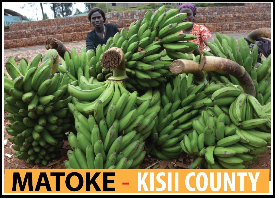 @psycotreat He ha s invested much on the agricultural sector too #OngwaeDeliversKisii