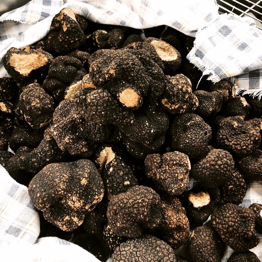 These incredible Autumn truffles have just arrived - we can’t wait to get stuck in. On the menu now 🍂 
#autumnmenu #seasonalfood #seasonaleating #autumnal #winebar #winerestaurant #winelondon #burgundywine #truffles